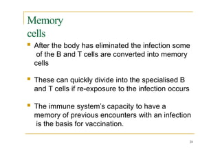 Memory
cells
24
 After the body has eliminated the infection some
of the B and T cells are converted into memory
cells
 These can quickly divide into the specialised B
and T cells if re-exposure to the infection occurs
 The immune system’s capacity to have a
memory of previous encounters with an infection
is the basis for vaccination.
 