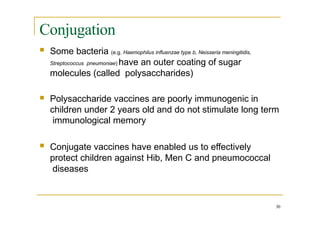 Conjugation
 Some bacteria (e.g. Haemophilus influenzae type b, Neisseria meningitidis,
Streptococcus pneumoniae) have an outer coating of sugar
molecules (called polysaccharides)
 Polysaccharide vaccines are poorly immunogenic in
children under 2 years old and do not stimulate long term
immunological memory
 Conjugate vaccines have enabled us to effectively
protect children against Hib, Men C and pneumococcal
diseases
30
 