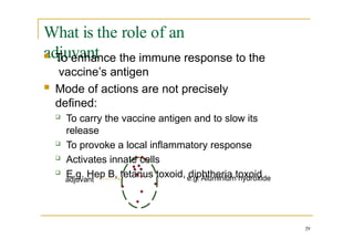 What is the role of an
adjuvant
 To enhance the immune response to the
vaccine’s antigen
 Mode of actions are not precisely
defined:
 To carry the vaccine antigen and to slow its
release
 To provoke a local inflammatory response
 Activates innate cells
 E.g. Hep B, tetanus toxoid, diphtheria toxoid
adjuvant e.g. Aluminium hydroxide
29
 