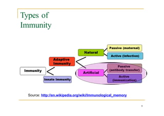 Types of
Immunity
9
Source: http://en.wikipedia.org/wiki/Immunological_memory
 