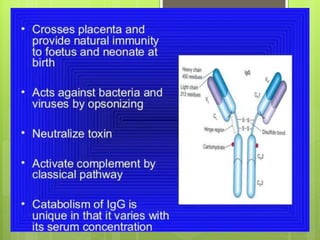 Immunity lecture ppt | PPTX