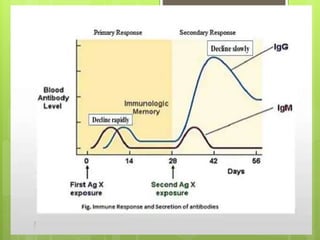 Immunity lecture ppt | PPTX