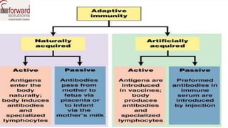 Immunity of bovine | PPTX
