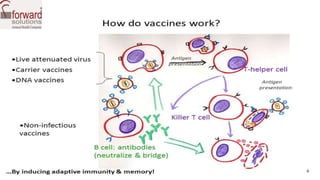 Immunity of bovine | PPTX