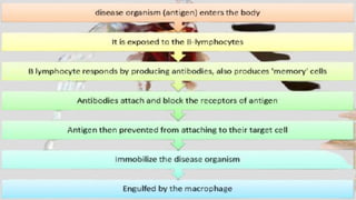 Immunity of bovine | PPTX