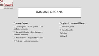 Immunity of chicken | PPTX