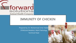 IMMUNITY OF CHICKEN
Prepared by: Dr. Muhammad Umer Haider
DVM(Gold Medalist), Mphil Pathology
Technical Head
 