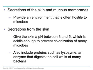 • Secretions of the skin and mucous membranes 
– Provide an environment that is often hostile to 
microbes 
• Secretions from the skin 
– Give the skin a pH between 3 and 5, which is 
acidic enough to prevent colonization of many 
microbes 
– Also include proteins such as lysozyme, an 
enzyme that digests the cell walls of many 
bacteria 
Copyright © 2005 Pearson Education, Inc. publishing as Benjamin Cummings 
 