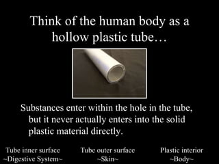 Think of the human body as a 
hollow plastic tube… 
Substances enter within the hole in the tube, 
but it never actually enters into the solid 
plastic material directly. 
Tube inner surface 
~Digestive System~ 
Plastic interior 
~Body~ 
Tube outer surface 
~Skin~ 
 