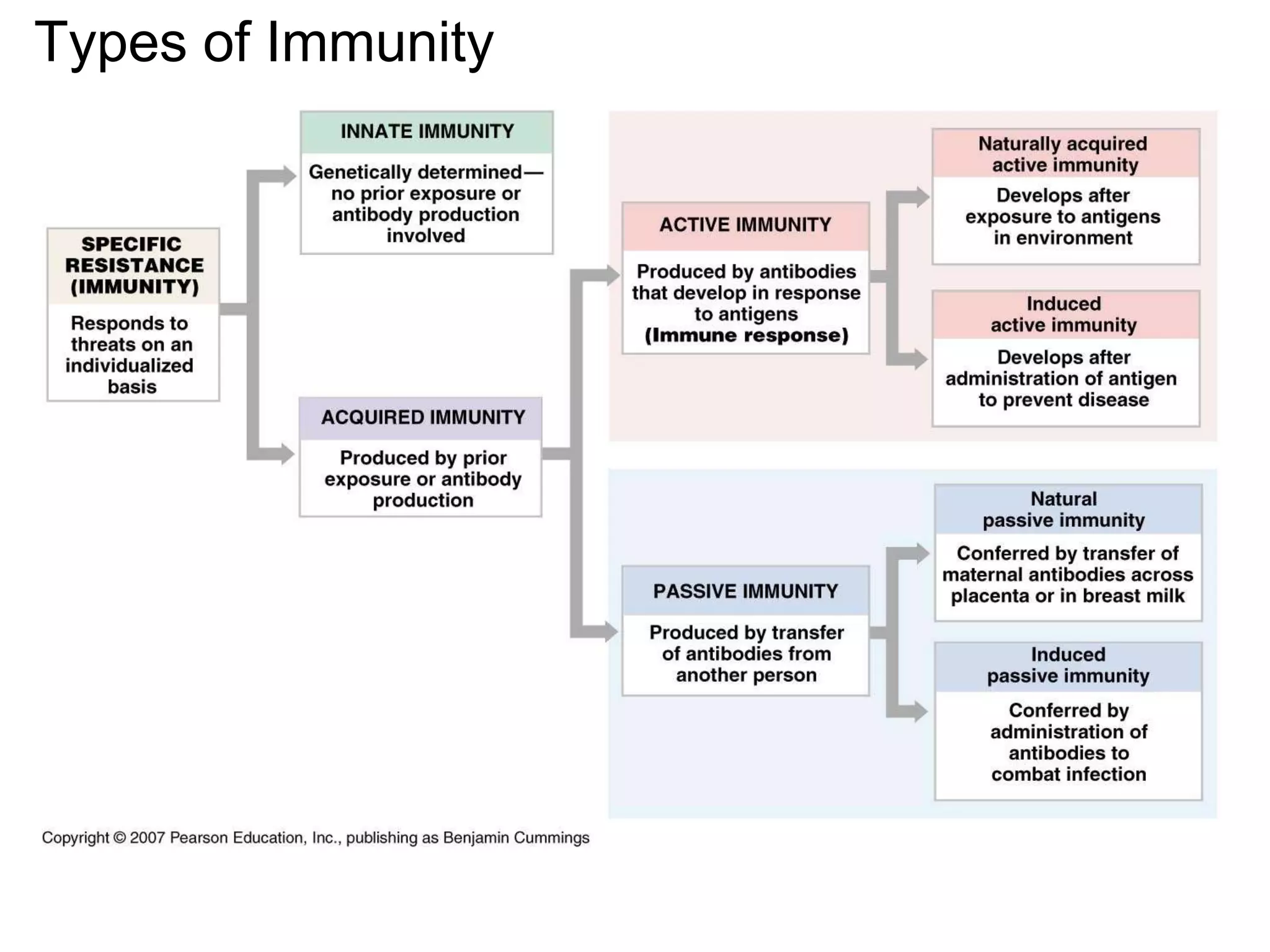 Types of Immunity 
 
