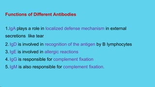 Functions of Different Antibodies
1.IgA plays a role in localized defense mechanism in external
secretions like tear
2. IgD is involved in recognition of the antigen by B lymphocytes
3. IgE is involved in allergic reactions
4. IgG is responsible for complement fixation
5. IgM is also responsible for complement fixation.
 
