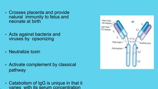 • Crosses placenta and provide
natural immunity to fetus and
neonate at birth
• Acts against bacteria and
viruses by opsonizing
• Neutralize toxin
• Activate complement by classical
pathway
• Catabolism of IgG is unique in that it
varies with its serum concentration
 