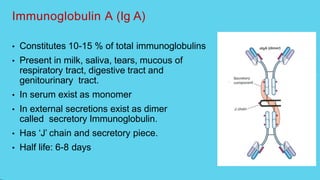 Immunoglobulin A (Ig A)
• Constitutes 10-15 % of total immunoglobulins
• Present in milk, saliva, tears, mucous of
respiratory tract, digestive tract and
genitourinary tract.
• In serum exist as monomer
• In external secretions exist as dimer
called secretory Immunoglobulin.
• Has ‘J’ chain and secretory piece.
• Half life: 6-8 days
 