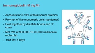 Immunoglobulin M (Ig M)
• Accounts for 5-10% of total serum proteins
• Polymer of five monomeric units (pentamer)
• Held together by disulfide bonds and ‘J’
chain
• Mol. Wt. of 900,000-10,00,000 (millionaire
molecule)
• Half life: 5 days
 