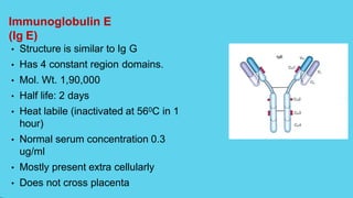 Immunoglobulin E
(Ig E)
• Structure is similar to Ig G
• Has 4 constant region domains.
• Mol. Wt. 1,90,000
• Half life: 2 days
• Heat labile (inactivated at 560C in 1
hour)
• Normal serum concentration 0.3
ug/ml
• Mostly present extra cellularly
• Does not cross placenta
 