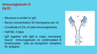 Immunoglobulin D
(Ig D)
• Structure is similar to IgG
• Serum concentration 30 micrograms per ml
• Constitutes 0.2% of total immunoglobulins
• Half life: 3 days
• IgD together with IgM is major membrane
bound immunoglobulin on unstimulated B
lymphocytes- acts as recognition receptors
for antigens
 