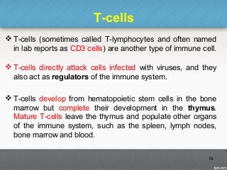 T-cells
 T-cells (sometimes called T-lymphocytes and often named
in lab reports as CD3 cells) are another type of immune cell.
 T-cells directly attack cells infected with viruses, and they
also act as regulators of the immune system.
 T-cells develop from hematopoietic stem cells in the bone
marrow but complete their development in the thymus.
Mature T-cells leave the thymus and populate other organs
of the immune system, such as the spleen, lymph nodes,
bone marrow and blood.
19
 