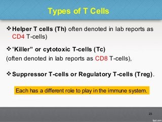 Types of T Cells
Helper T cells (Th) often denoted in lab reports as
CD4 T-cells)
“Killer” or cytotoxic T-cells (Tc)
(often denoted in lab reports as CD8 T-cells),
Suppressor T-cells or Regulatory T-cells (Treg).
23
Each has a different role to play in the immune system.
 