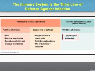 The Immune System is the Third Line of
Defense Against Infection
3
 