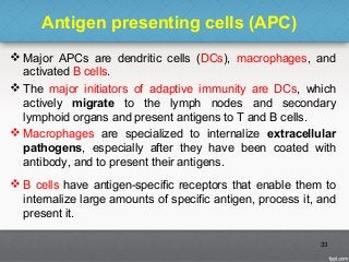 Antigen presenting cells (APC)
 Major APCs are dendritic cells (DCs), macrophages, and
activated B cells.
 The major initiators of adaptive immunity are DCs, which
actively migrate to the lymph nodes and secondary
lymphoid organs and present antigens to T and B cells.
 Macrophages are specialized to internalize extracellular
pathogens, especially after they have been coated with
antibody, and to present their antigens.
 B cells have antigen-specific receptors that enable them to
internalize large amounts of specific antigen, process it, and
present it.
33
 