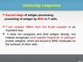 immunity response
 Second stage of antigen processing:
presenting of antigen by MHC to T-cells.
 T-cell receptor differs from the B-cell receptor in an
important way:
 it does not recognize and bind antigen directly, but
instead recognizes short peptide fragments of pathogen
protein antigens, which are bound to MHC molecules on
the surfaces of other cells.
37
 