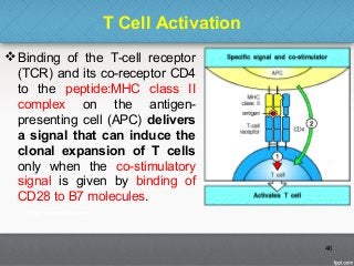 T Cell Activation
Binding of the T-cell receptor
(TCR) and its co-receptor CD4
to the peptide:MHC class II
complex on the antigen-
presenting cell (APC) delivers
a signal that can induce the
clonal expansion of T cells
only when the co-stimulatory
signal is given by binding of
CD28 to B7 molecules.
46
 