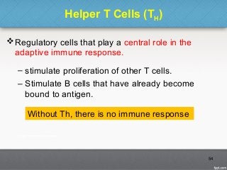 Helper T Cells (TH)
Regulatory cells that play a central role in the
adaptive immune response.
– stimulate proliferation of other T cells.
– Stimulate B cells that have already become
bound to antigen.
54
Without Th, there is no immune response
 