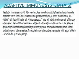 ADAPTIVE IMMUNE SYSTEM (AIS)
 