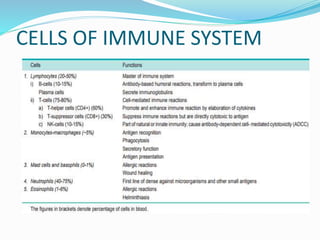 CELLS OF IMMUNE SYSTEM
 