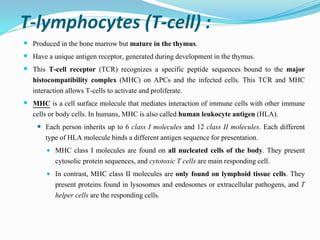 T-lymphocytes (T-cell) :
 Produced in the bone marrow but mature in the thymus.
 Have a unique antigen receptor, generated during development in the thymus.
 This T-cell receptor (TCR) recognizes a specific peptide sequences bound to the major
histocompatibility complex (MHC) on APCs and the infected cells. This TCR and MHC
interaction allows T-cells to activate and proliferate.
 MHC is a cell surface molecule that mediates interaction of immune cells with other immune
cells or body cells. In humans, MHC is also called human leukocyte antigen (HLA).
 Each person inherits up to 6 class I molecules and 12 class II molecules. Each different
type of HLA molecule binds a different antigen sequence for presentation.
 MHC class I molecules are found on all nucleated cells of the body. They present
cytosolic protein sequences, and cytotoxic T cells are main responding cell.
 In contrast, MHC class II molecules are only found on lymphoid tissue cells. They
present proteins found in lysosomes and endosomes or extracellular pathogens, and T
helper cells are the responding cells.
 