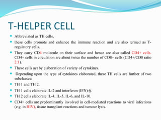 T-HELPER CELL
 Abbreviated as TH cells,
 these cells promote and enhance the immune reaction and are also termed as T-
regulatory cells.
 They carry CD4 molecule on their surface and hence are also called CD4+ cells.
CD4+ cells in circulation are about twice the number of CD8+ cells (CD4+/CD8 ratio
2:1).
 These cells act by elaboration of variety of cytokines.
 Depending upon the type of cytokines elaborated, these TH cells are further of two
subclasses:
 TH 1 and TH 2.
 TH 1 cells elaborate IL-2 and interferon (IFN)-γ.
 TH 2 cells elaborate IL-4, IL-5, IL-6, and IL-10.
 CD4+ cells are predominantly involved in cell-mediated reactions to viral infections
(e.g. in HIV), tissue transplant reactions and tumour lysis.
 