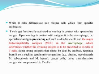  While B cells differentiate into plasma cells which form specific
antibodies.
 T cells get functionally activated on coming in contact with appropriate
antigen. Upon coming in contact with antigen, it is the macrophage, i.e.
specialised antigen-presenting cell such as dendritic cell, and the major
histocompatibilty complex (MHC) in the macrophage, which
determines whether the invading antigen is to be presented to B cells or
T cells. Some strong antigens that cannot be dealt by antibody response
from B cells such as certain microorganisms (e.g. viruses, mycobacteria
M. tuberculosis and M. leprae), cancer cells, tissue transplantation
antigen etc, are presented to T cells.
 