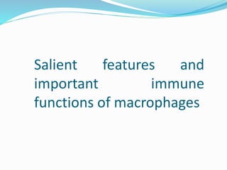 Salient features and
important immune
functions of macrophages
 