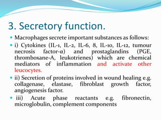 3. Secretory function.
 Macrophages secrete important substances as follows:
 i) Cytokines (IL-1, IL-2, IL-6, 8, IL-10, IL-12, tumour
necrosis factor-α) and prostaglandins (PGE,
thromboxane-A, leukotrienes) which are chemical
mediators of inflammation and activate other
leucocytes.
 ii) Secretion of proteins involved in wound healing e.g.
collagenase, elastase, fibroblast growth factor,
angiogenesis factor.
 iii) Acute phase reactants e.g. fibronectin,
microglobulin, complement components
 