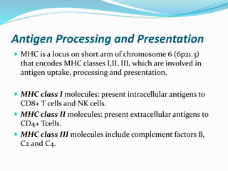 Antigen Processing and Presentation
 MHC is a locus on short arm of chromosome 6 (6p21.3)
that encodes MHC classes I,II, III, which are involved in
antigen uptake, processing and presentation.
 MHC class I molecules: present intracellular antigens to
CD8+ T cells and NK cells.
 MHC class II molecules: present extracellular antigens to
CD4+ Tcells.
 MHC class III molecules include complement factors B,
C2 and C4.
 