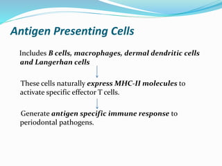 Antigen Presenting Cells
Includes B cells, macrophages, dermal dendritic cells
and Langerhan cells
These cells naturally express MHC-II molecules to
activate specific effector T cells.
Generate antigen specific immune response to
periodontal pathogens.
 