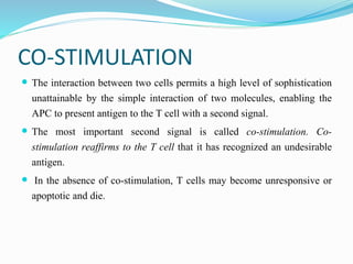 CO-STIMULATION
 The interaction between two cells permits a high level of sophistication
unattainable by the simple interaction of two molecules, enabling the
APC to present antigen to the T cell with a second signal.
 The most important second signal is called co-stimulation. Co-
stimulation reaffirms to the T cell that it has recognized an undesirable
antigen.
 In the absence of co-stimulation, T cells may become unresponsive or
apoptotic and die.
 
