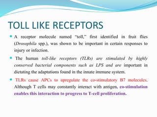TOLL LIKE RECEPTORS
 A receptor molecule named “toll,” first identified in fruit flies
(Drosophila spp.), was shown to be important in certain responses to
injury or infection.
 The human toll-like receptors (TLRs) are stimulated by highly
conserved bacterial components such as LPS and are important in
dictating the adaptations found in the innate immune system.
 TLRs cause APCs to upregulate the co-stimulatory B7 molecules.
Although T cells may constantly interact with antigen, co-stimulation
enables this interaction to progress to T-cell proliferation.
 