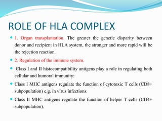ROLE OF HLA COMPLEX
 1. Organ transplantation. The greater the genetic disparity between
donor and recipient in HLA system, the stronger and more rapid will be
the rejection reaction.
 2. Regulation of the immune system.
 Class I and II histocompatibility antigens play a role in regulating both
cellular and humoral immunity:
 Class I MHC antigens regulate the function of cytotoxic T cells (CD8+
subpopulation) e.g. in virus infections.
 Class II MHC antigens regulate the function of helper T cells (CD4+
subpopulation).
 