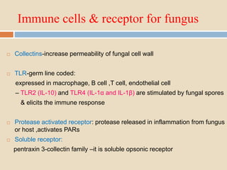 Immunity to fungal infection | PPTX