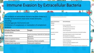 Immune Evasion by Extracellular Bacteria
The virulence of extracellular bacteria has been linked to a
number of mechanisms that resist innate immunity,
including:
Antiphagocytic mechanisms and
Inhibition of complement or inactivation of complement
products.
 