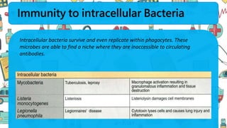 Immunity to intracellular Bacteria
Intracellular bacteria survive and even replicate within phagocytes. These
microbes are able to find a niche where they are inaccessible to circulating
antibodies.
 