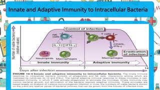 Innate and Adaptive Immunity to Intracellular Bacteria
• .
 