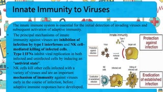 Innate Immunity to Viruses
The innate immune system is essential for the initial detection of invading viruses and
subsequent activation of adaptive immunity.
• The principal mechanisms of innate
immunity against viruses are inhibition of
infection by type I interferons and NK cell–
mediated killing of infected cells.
• Type I IFNs inhibit viral replication in both
infected and uninfected cells by inducing an
"antiviral state".
• NK cells kill other cells infected with a
variety of viruses and are an important
mechanism of immunity against viruses
early in the course of infection, before
adaptive immune responses have developed.
 