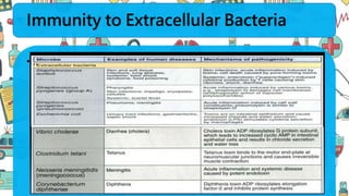Immunity to Extracellular Bacteria
• ..
 