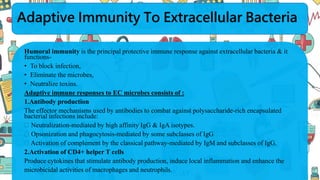 Adaptive Immunity To Extracellular Bacteria
Humoral immunity is the principal protective immune response against extracellular bacteria & it
functions-
• To block infection,
• Eliminate the microbes,
• Neutralize toxins.
Adaptive immune responses to EC microbes consists of :
1.Antibody production
The effector mechanisms used by antibodies to combat against polysaccharide-rich encapsulated
bacterial infections include:
Neutralization-mediated by high affinity IgG & IgA isotypes.
Opsonization and phagocytosis-mediated by some subclasses of IgG
Activation of complement by the classical pathway-mediated by IgM and subclasses of IgG.
2.Activation of CD4+ helper T cells
Produce cytokines that stimulate antibody production, induce local inflammation and enhance the
microbicidal activities of macrophages and neutrophils.
 