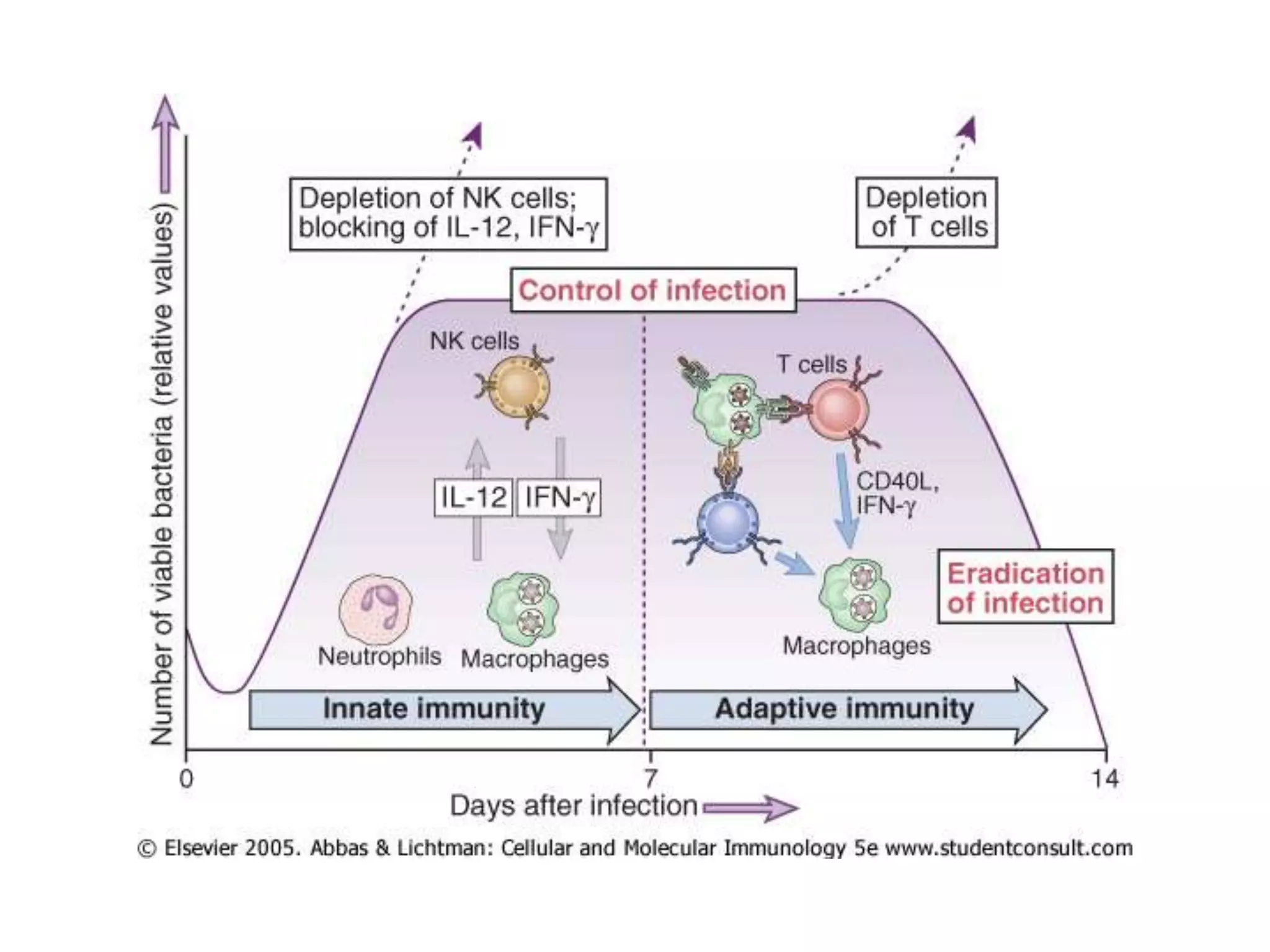 Immunity to microbes | PPTX