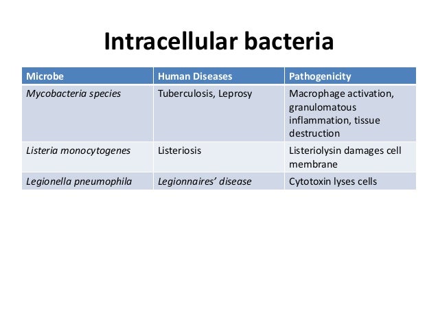 cell mediated immunity