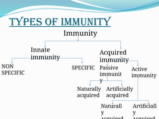 IMMUNITY TYPES PPT.pptx very good , sufficient | PPTX