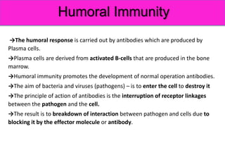 Immunity. Basic princeples of humoral and cellular immune response. | PPTX
